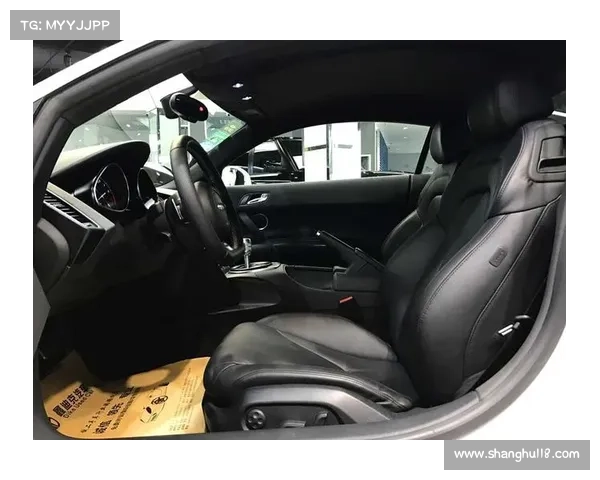 奥迪R8赛事燃情上演体验极致速度与德国精湛工艺魅力 奥迪R8赛事燃情上演体验极致速度与德国精湛工艺魅力