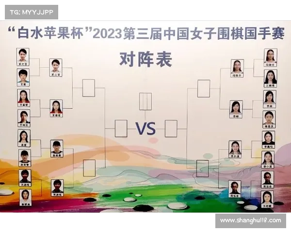 中国围棋国内赛事排名 中国围棋国内赛事排名