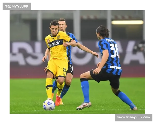 意甲全部赛事、意甲联赛全季征程38轮激战荣耀与悬念交织足球盛宴